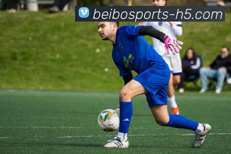 贝博体育平台生态图