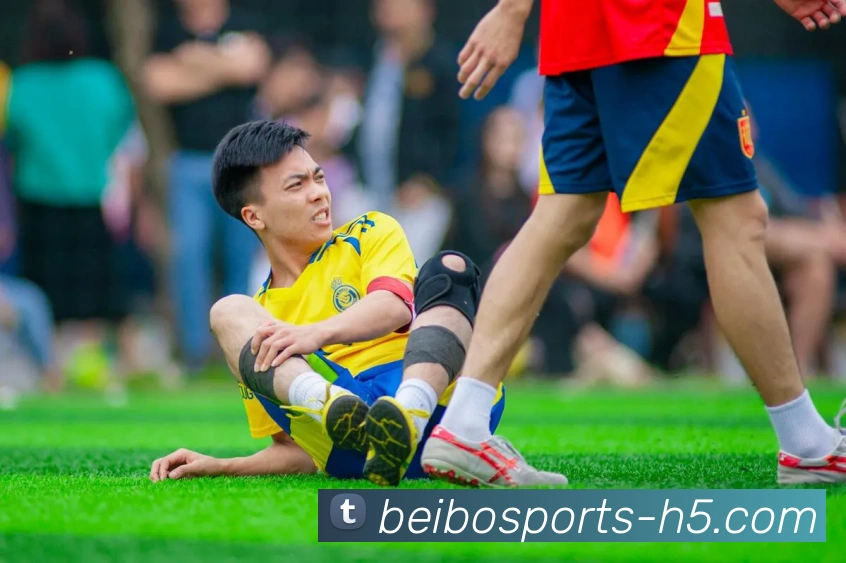 贝博体育APP 封面图