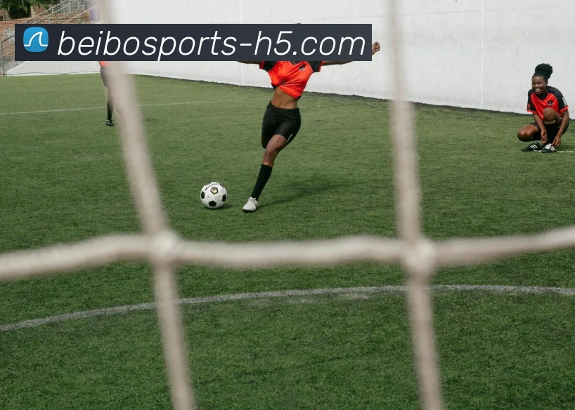 数据防护可视化